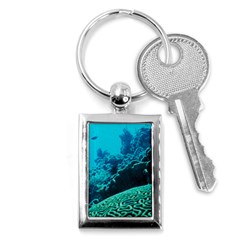 Coral Reefs 2 Key Chains (rectangle)  by trendistuff