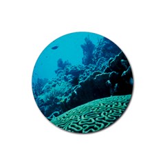 Coral Reefs 2 Rubber Coaster (round)  by trendistuff