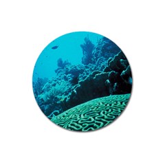 Coral Reefs 2 Magnet 3  (round) by trendistuff