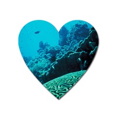 Coral Reefs 2 Heart Magnet by trendistuff