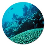 CORAL REEFS 2 Magnet 5  (Round)