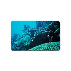 Coral Reefs 2 Magnet (name Card) by trendistuff