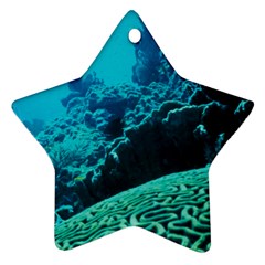 Coral Reefs 2 Star Ornament (two Sides)  by trendistuff