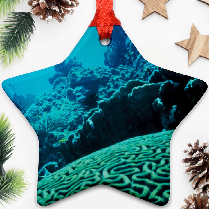 CORAL REEFS 2 Star Ornament (Two Sides) 