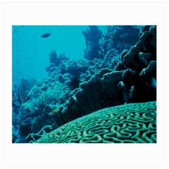 Coral Reefs 2 Small Glasses Cloth (2-side) by trendistuff