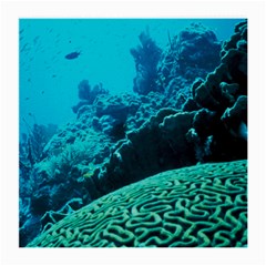 Coral Reefs 2 Medium Glasses Cloth (2-side) by trendistuff