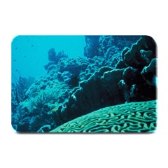 Coral Reefs 2 Plate Mats