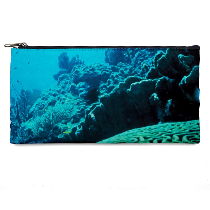 CORAL REEFS 2 Pencil Cases