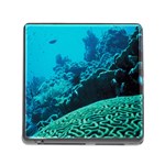 CORAL REEFS 2 Memory Card Reader (Square) Front