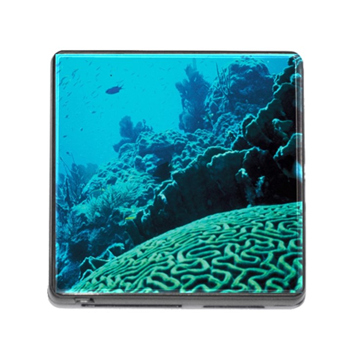 CORAL REEFS 2 Memory Card Reader (Square)