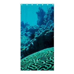 Coral Reefs 2 Shower Curtain 36  X 72  (stall)  by trendistuff