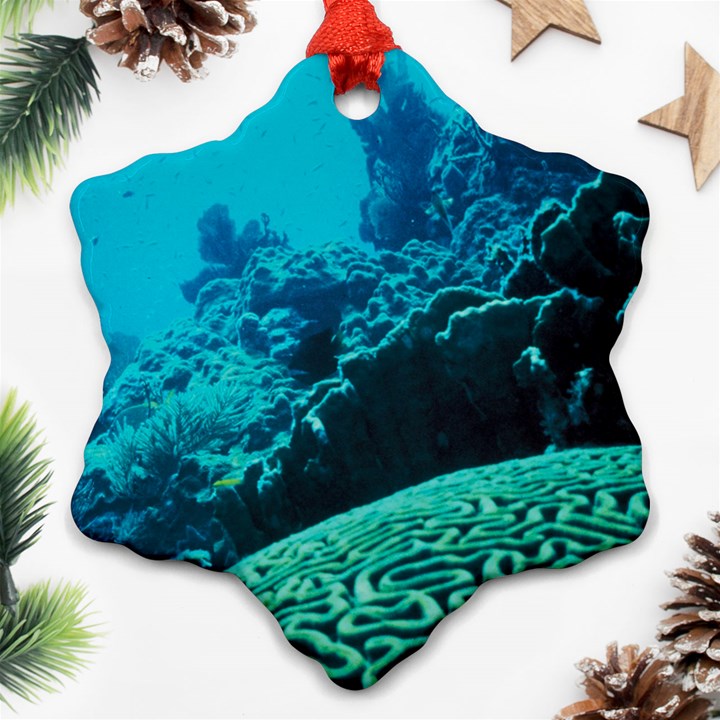 CORAL REEFS 2 Ornament (Snowflake) 