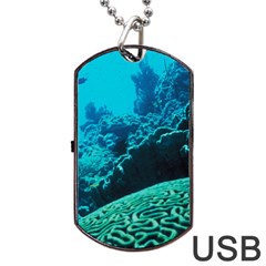 Coral Reefs 2 Dog Tag Usb Flash (two Sides) 