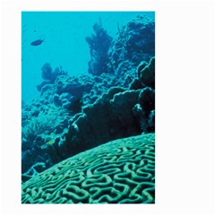 Coral Reefs 2 Small Garden Flag (two Sides)