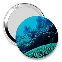 Coral Reefs 2 3  Handbag Mirrors by trendistuff