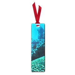 Coral Reefs 2 Small Book Marks by trendistuff