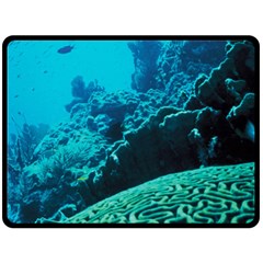 Coral Reefs 2 Double Sided Fleece Blanket (large) 