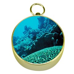 Coral Reefs 2 Gold Compasses