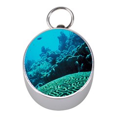 Coral Reefs 2 Mini Silver Compasses