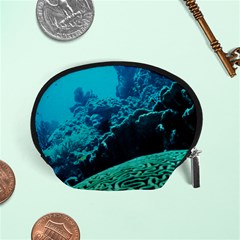 Coral Reefs 2 Accessory Pouches (small)  by trendistuff