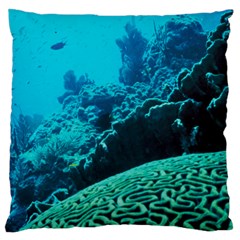 Coral Reefs 2 Large Flano Cushion Cases (two Sides) 