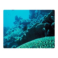 Coral Reefs 2 Double Sided Flano Blanket (mini) 