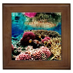 Coral Reefs 1 Framed Tiles by trendistuff