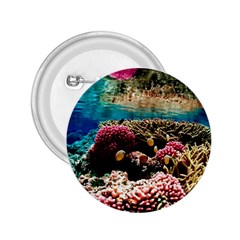 Coral Reefs 1 2 25  Buttons by trendistuff