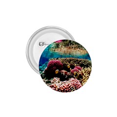 Coral Reefs 1 1 75  Buttons by trendistuff