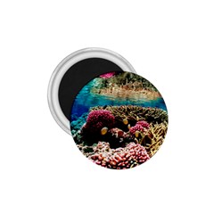 Coral Reefs 1 1 75  Magnets by trendistuff