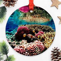 Coral Reefs 1 Ornament (round)  by trendistuff