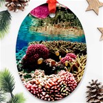 CORAL REEFS 1 Ornament (Oval)  Front