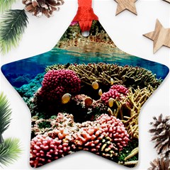 Coral Reefs 1 Ornament (star)  by trendistuff