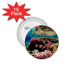 Coral Reefs 1 1 75  Buttons (10 Pack) by trendistuff