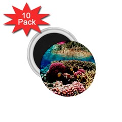 Coral Reefs 1 1 75  Magnets (10 Pack)  by trendistuff