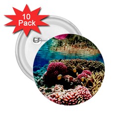 Coral Reefs 1 2 25  Buttons (10 Pack)  by trendistuff