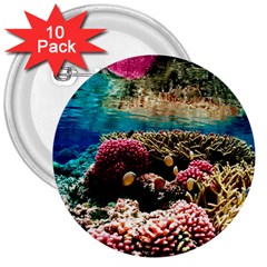 Coral Reefs 1 3  Buttons (10 Pack)  by trendistuff