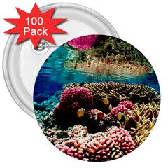 Coral Reefs 1 3  Buttons (100 Pack)  by trendistuff