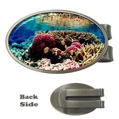 Coral Reefs 1 Money Clips (oval)  by trendistuff