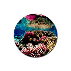 Coral Reefs 1 Rubber Round Coaster (4 Pack)  by trendistuff