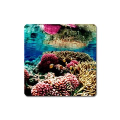 Coral Reefs 1 Square Magnet by trendistuff