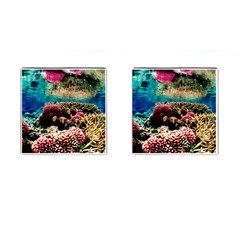 Coral Reefs 1 Cufflinks (square) by trendistuff