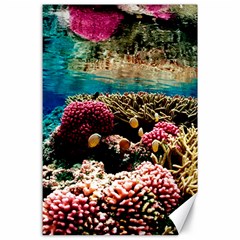 Coral Reefs 1 Canvas 24  X 36 