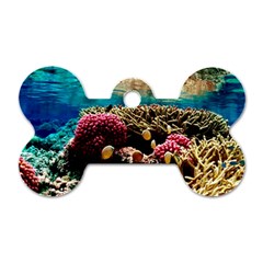 Coral Reefs 1 Dog Tag Bone (two Sides) by trendistuff