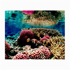 Coral Reefs 1 Small Glasses Cloth (2-side) by trendistuff