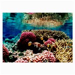 CORAL REEFS 1 Large Glasses Cloth Front