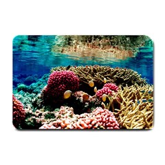 Coral Reefs 1 Small Doormat  by trendistuff