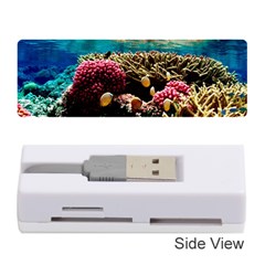 Coral Reefs 1 Memory Card Reader (stick) 