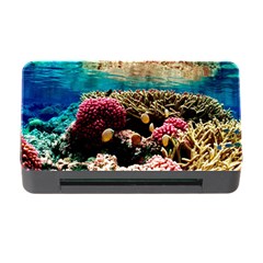 Coral Reefs 1 Memory Card Reader With Cf