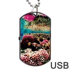 Coral Reefs 1 Dog Tag Usb Flash (one Side)